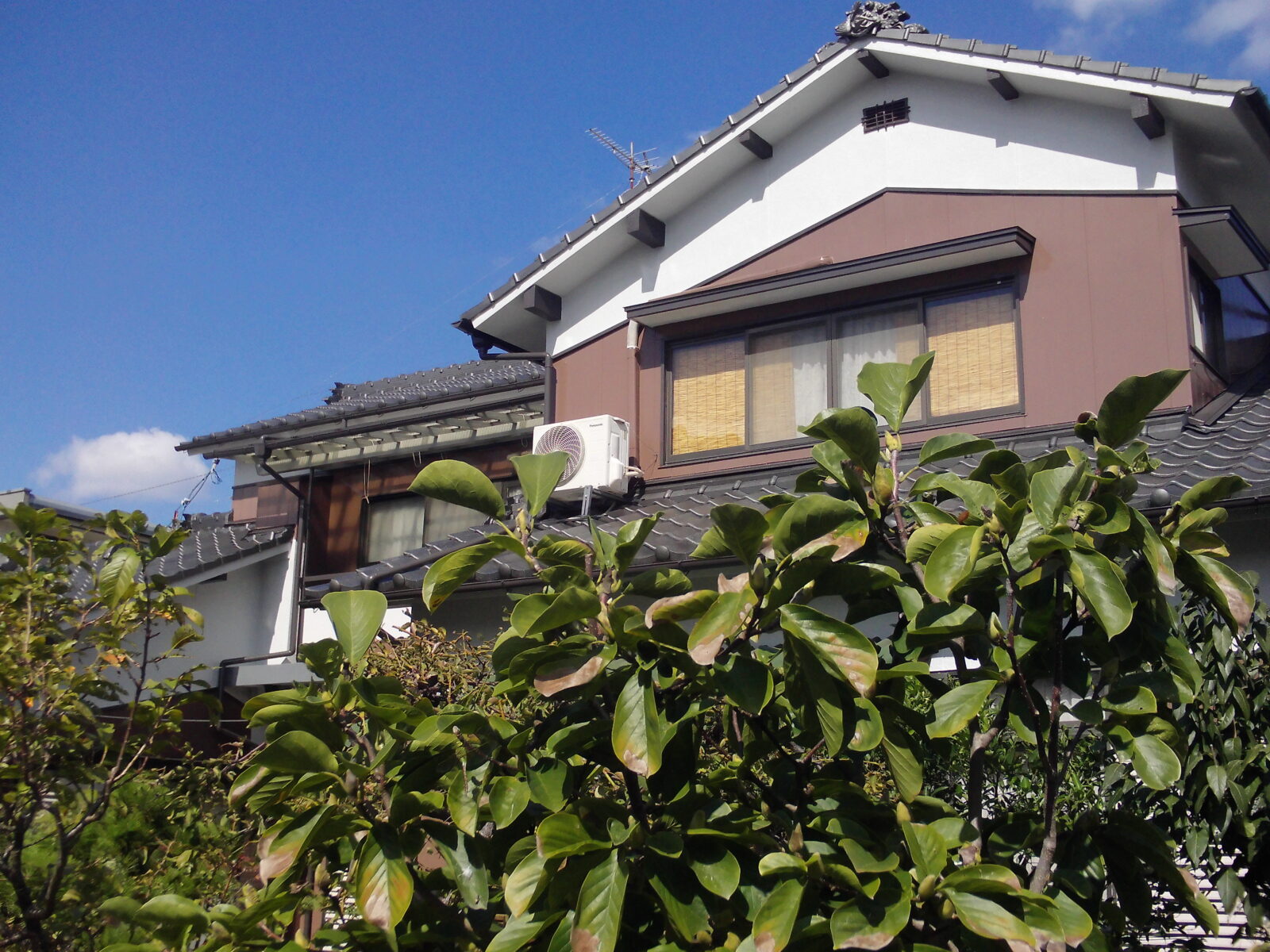松山市保免西にて板壁の外壁塗装完成の写真です。